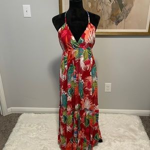 NWT Express Maxi Dress